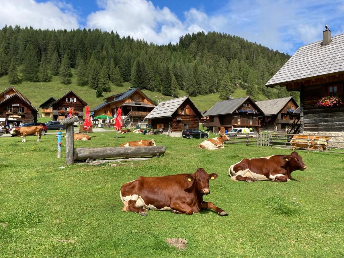 Apartamento Berghaus Weissbriach Exterior foto